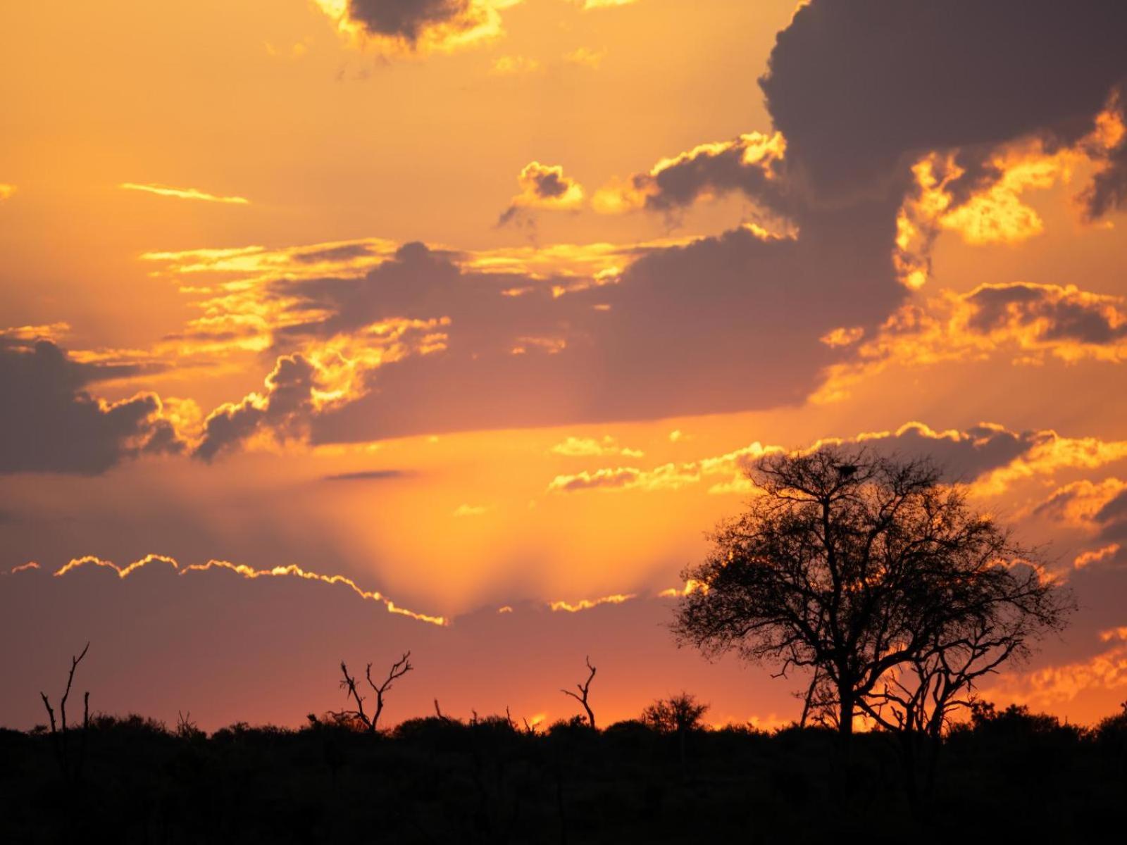 Grace Of Africa, Couples 5 Star Nature Lodge Marloth Park Extérieur photo