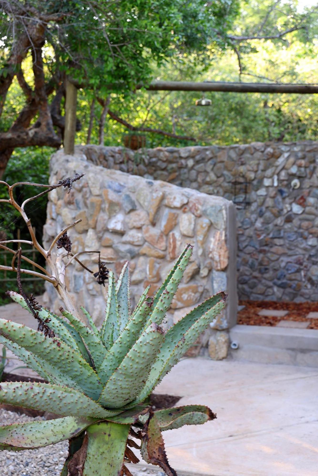 Grace Of Africa, Couples 5 Star Nature Lodge Marloth Park Extérieur photo